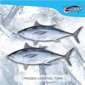 تھنس ٹونگول ٹونا