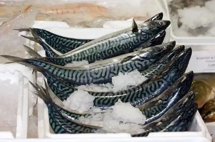 5dfad1c3229fab35bd9f402b0f0458f5 5dfad1c3229fab35bd9f402b0f0458f5